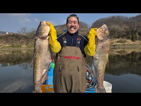 진짜 말도 안 됩니다! 우리나라에서 가장 큰 외래종 민물고기를 잡아서 먹어보자!