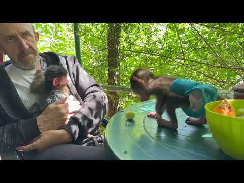 У нас ПЛОХИЕ НОВОСТИ, у Мани начались приступы…