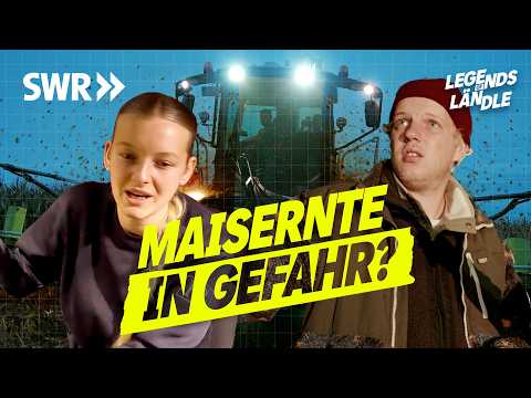 Maisernte unter Druck: Nachtschicht auf’m Feld - 1 Häcksler, 2 Silo I SWR Legends of Ländle