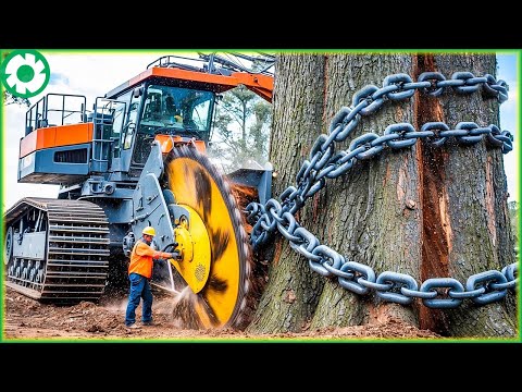 Most Big Chainsaw Cutting Tree Machines | Best of Week