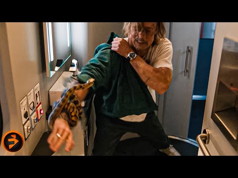 Joey King pushes Brad Pitt too far and pays the price | BULLET TRAIN