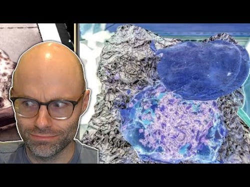 What if Scrandle was evil??? (Miscellaneous)