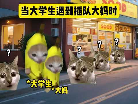 不要小瞧我和姐夫的羁绊啊!!! #猫meme #猫meme小剧场 #猫meme剧场 #内容过于真实 #搞笑
