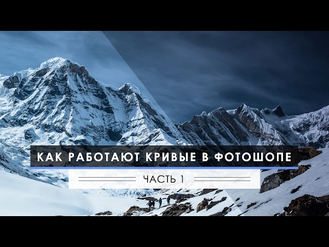 Кривые в Фотошопе: Работа с яркостью и контрастом