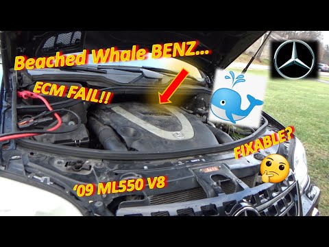 "Beached Whale" Benz... ECM FAIL!! Can we Program a USED eBay Unit?? ('09 ML550 V8)
