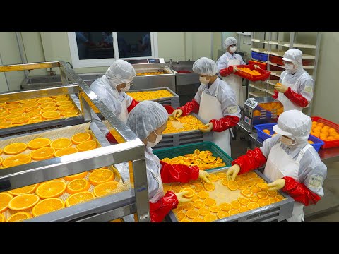 힐링됩니다! 오렌지와 마쉬멜로우 대량으로 건조하기(직접 개발한 3억짜리 기계) / Orange and Marshmallow Dry Food Factory