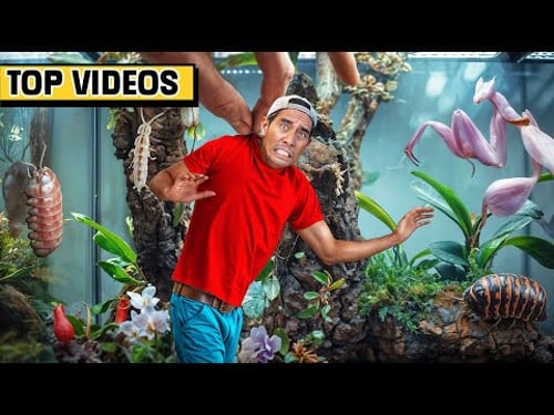 Try Not to Get Fooled by These Tricks! | Zach King