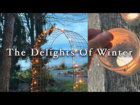 Beach Cabin Winter Begins | Beautiful Lanterns And Lights | Shoreline Walk