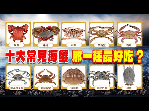 👉10大常見海水螃蟹 哪一種最好吃?|10 Common Saltwater Crabs: Which is the Tastiest?|紅蟳 處女蟳 菜蟳 石蟳 澎湖扁蟹 饅頭蟳#花蟹#三點蟹#旭蟹