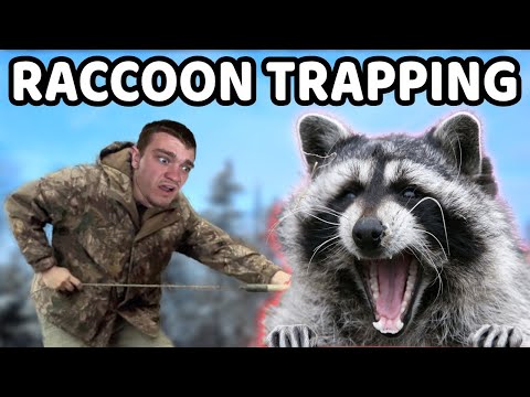 Trapping WILD RACCOONS for 7 Days Straight!