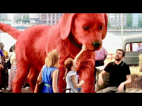 She Wanted a Small Puppy, But Got a 10-Foot Red Giant Instead
