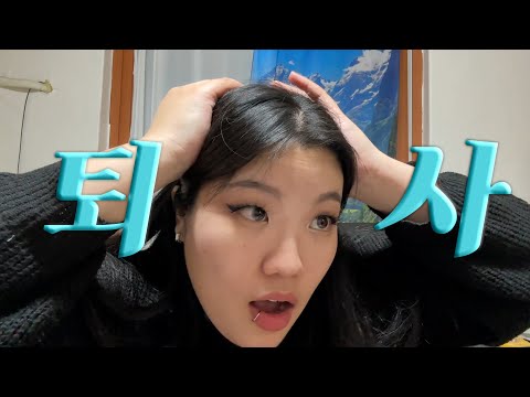 직장동료한테 시비걸려서 하루아침에 퇴사함|퇴사 브이로그