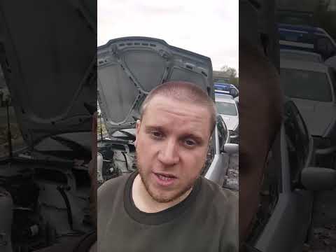 peak car ownership 😎 #bmw #e36 #engineswap #m50b25 #325i