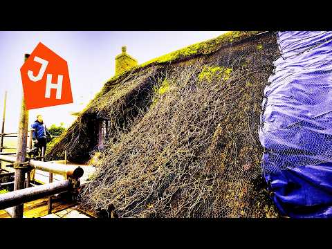 3 Months Renovating our Abandoned 500 Year Old Cottage | Ivy Infestation Removal #7