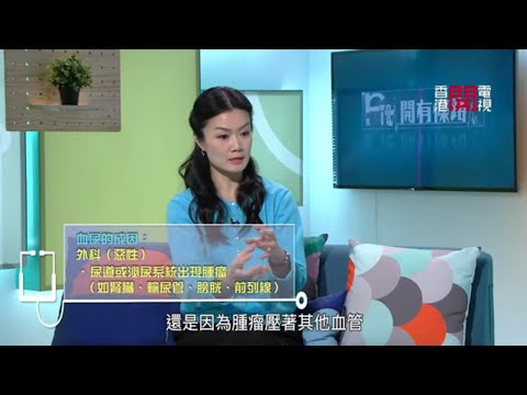 產生血尿成因衆多-Fit 開有條路 EP248 - 香港開電視