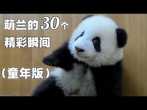 萌兰的30个精彩瞬间【童年版】两岁以前的萌兰,么么儿时期的30个精彩片段