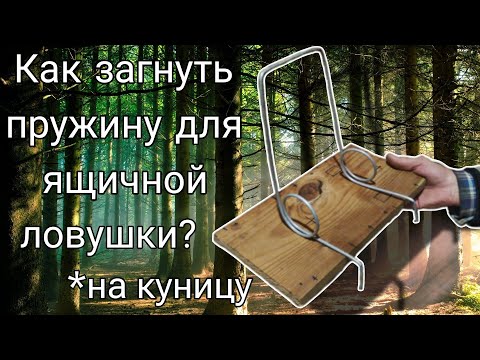 Как загнуть пружину для ящичной ловушки на "куницу".