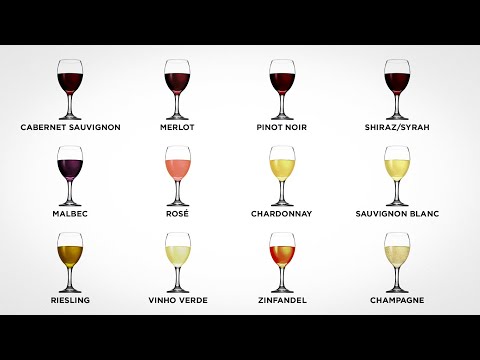 Every Wine Explained in 10 minutes Part 1