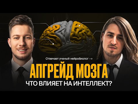 Как не отупеть от жизни / Привычки, которые работают. Отвечает нейробиолог @dysphorra