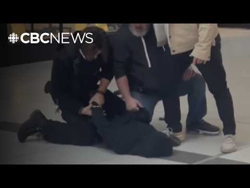 Video shows Oshawa shoppers detaining suspects after smash-and-grab robbery