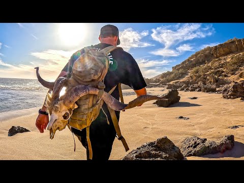 SURVIVAL MISSION WITH NO FOOD - The Goat Graveyard