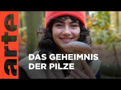 Alles über Pilze | Zu Tisch mit Lucie - Kitchen Hacks | ARTE Family