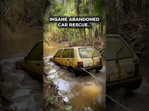 That’s why you should NEVER restore BUY and ABANDONED cars