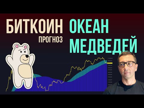 BITCOIN 🐼 OCEAN OF BEARS