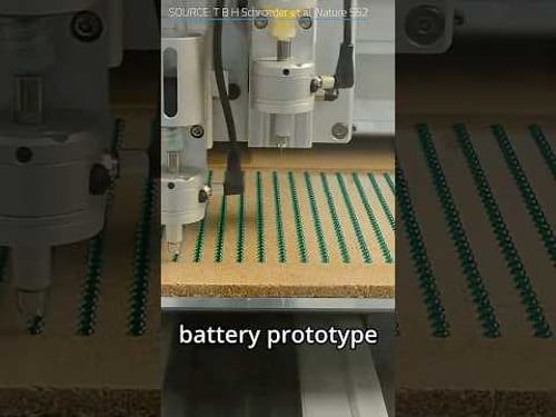 Electric Eel Batteries?