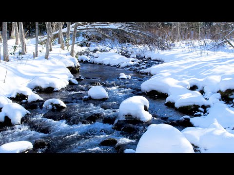 Peaceful Snowy River Sounds ❄️ Winter Stream | Forest Stream Sounds | White Noise for Sleep, Relax.