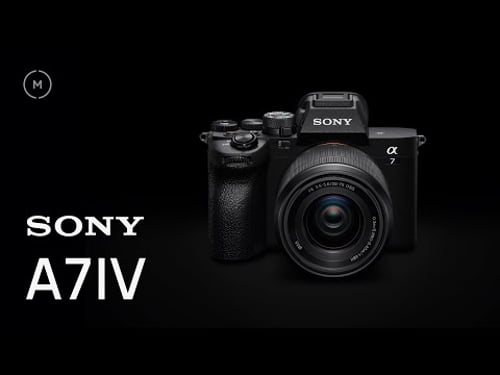 Sony A7IV Beginner's Camera Guide (11 Minutes)