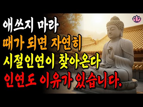 애쓰지 마세요, 인연은 때가 되면 자연히 이어집니다 | 부처님말씀 | 시절인연 | 석가모니