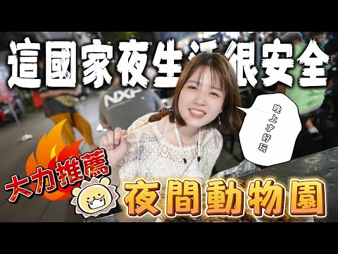 新加坡野生動物園晚上才好玩!小朋友都適合的夜間活動 EP1 Singapore Night Safari\親子旅遊/BAT design