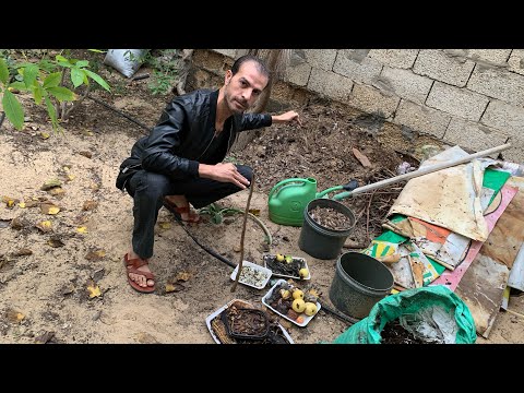 اصنع أقوي سماد عضوي طبيعي بالمنزل بثلاث طرق وبّلاش ، شرح وتطبيق عملي مفيد ومهم 👌
