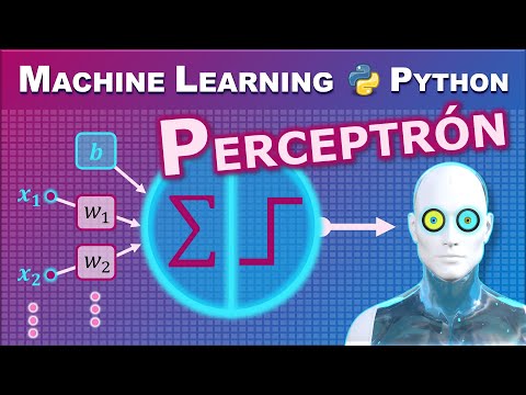 Perceptron Step by Step with Python: The Basis of Machine Learning Artificial Neural Networks