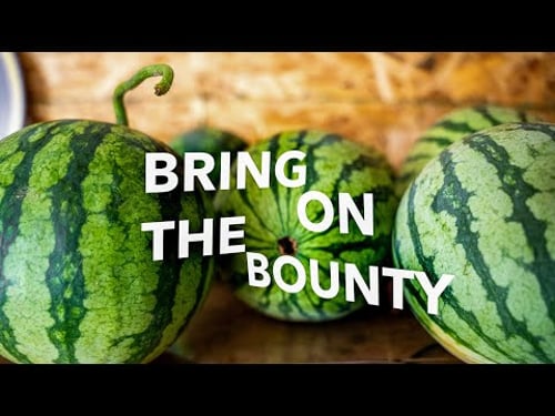 What to Do in Winter for Earlier Summer Harvests