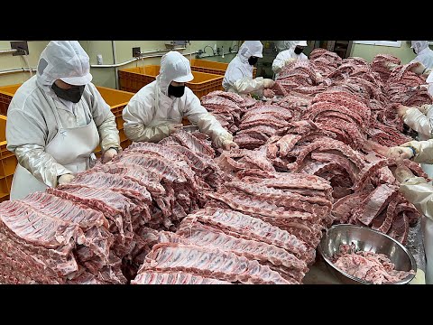 세계가 놀랐습니다! 한국 냉동식품 대량 생산 과정 BEST 몰아보기 6 BEST Korean frozen food production process