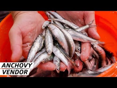How the Best Anchovies Make It to San Francisco Restaurants — Vendors