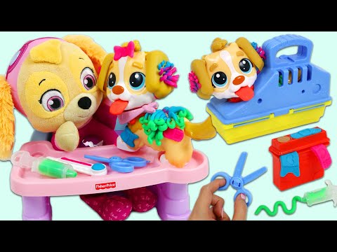 Paw Patrol Baby Skye Adopts A Cute Puppy!
