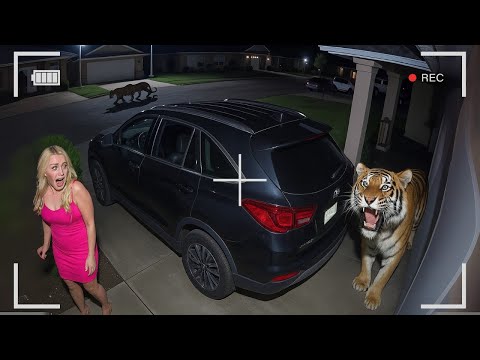 One In A BILLION ANIMALS Moments Caught On Camera