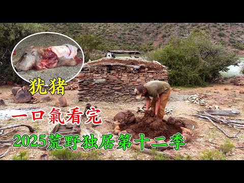 一口氣看完2025荒野獨居第十二季全集,妹子開局狩獵一頭猶豬,吃了20天,大佬挖蠍子做誘餌,釣到20斤大鯰魚,建造石頭庇護所,生存34天拿下50萬美元!紀錄片