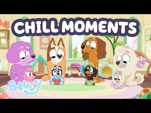 π΄LIVE: Chill Out with Bluey βΊοΈ | Baby Race Full Episode + More Moments π | Bluey