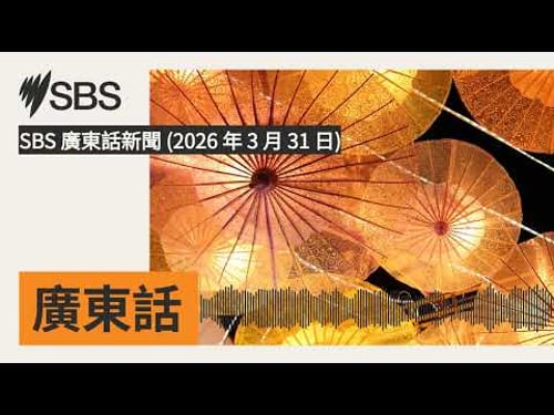 SBS 廣東話新聞 (2026 年 3 月 31 日) | SBS Cantonese - SBS廣東話節目