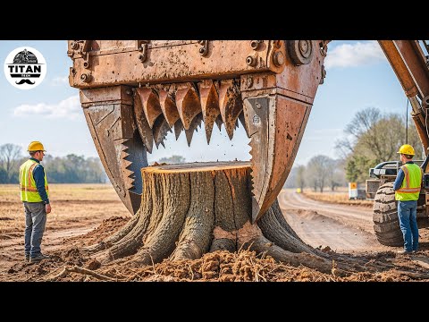 Extreme Dangerous Monster Stump Removal Excavator | Amazing Fastest Wood Chipper Machines #31