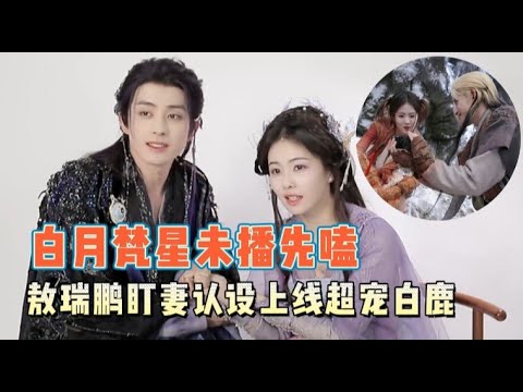 白鹿玩缘分测试被敖瑞鹏拿捏一脸疑惑,二人片场拍照氛围超好先嗑为敬