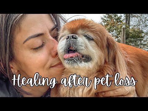 HOW I’M HEALING - COPING WITH PET LOSS - TIPS FOR YOU
