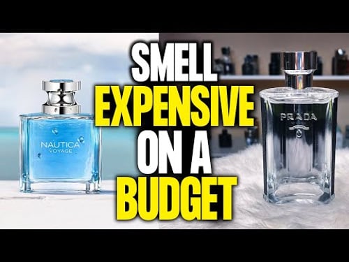 The TOP 8 Affordable Colognes That SMELL LIKE LUXURY