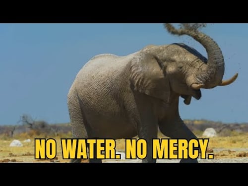 The Drought That Forced Elephants Beyond Their Limits.