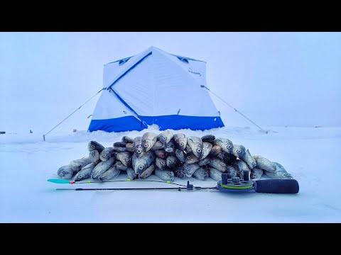 РЫБАЛКА НА ОГРОМНОЙ ГЛУБИНЕ 33 МЕТРА!!!ЛОВЛЯ РИПУСА на ОЗЕРЕ УВИЛЬДЫ