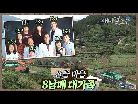 산골 마을에 사는 8남매 대가족🌿 태풍에 닭 식구는 무사할 수 있을까? | 슈퍼우먼 옥순 씨 | KBS 인간극장 2012 방송